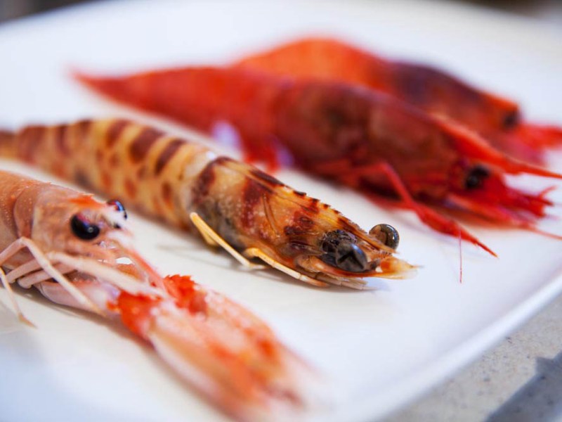 Risotto agli artropodi by Carlo&nbsp;Spinelli